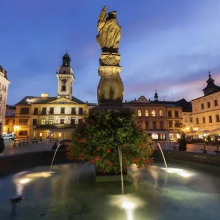 Hotel Cieszyński Stare 3*