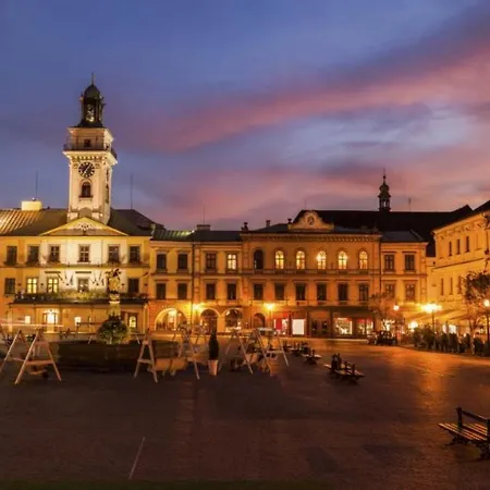 Hotel Cieszynski Stare Cieszyn (Silesia)