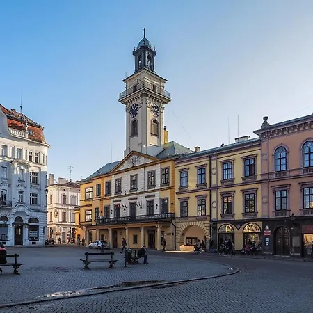 Hotel Cieszyński Stare