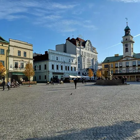 Hotel Cieszyński Stare Cieszyn (Silesia)